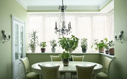 flori Ghivece în interiorul camerei de zi floare decorare Foto apartament (flori) flori Ghivece în interiorul apartamentului living decor flori foto