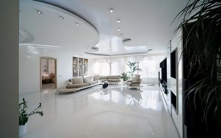 flori Ghivece în interiorul culorilor apartament cu o cameră de zi decorațiuni interioare (foto) flori Ghivece în interiorul apartamentului living decor flori foto