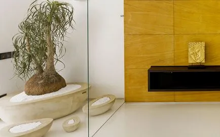 flori Ghivece în interiorul culorilor apartament cu o cameră de zi decorațiuni interioare (foto) flori Ghivece în interiorul apartamentului living decor flori foto