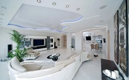flori Ghivece în interiorul florii decorare apartament cu o cameră de zi foto (apartament) flori Ghivece în interiorul apartamentului living decor flori foto