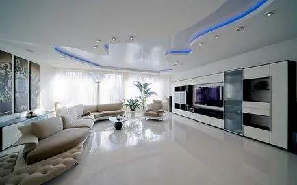 flori Ghivece în interiorul camerei de zi floare decorare Foto apartament (flori) flori Ghivece în interiorul apartamentului living decor flori foto