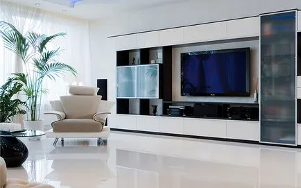 flori Ghivece în interiorul camerei de zi floare decorare Foto apartament (flori) flori Ghivece în interiorul apartamentului living decor flori foto