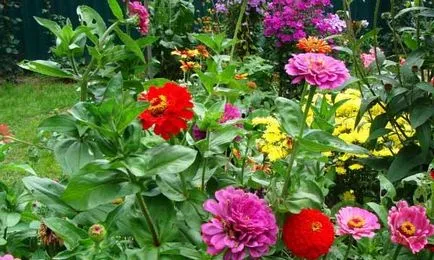 Casă țară frumoasă cu mâinile lor 40 fotografie Home & Garden