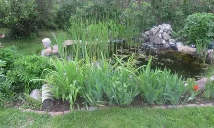 Casă țară frumoasă cu mâinile lor 40 fotografie Home & Garden