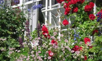 Casă țară frumoasă cu mâinile lor 40 fotografie Home & Garden