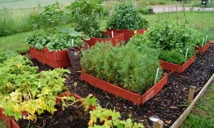 Casă țară frumoasă cu mâinile lor 40 fotografie Home & Garden