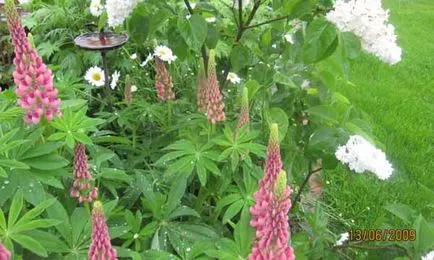 Casă țară frumoasă cu mâinile lor 40 fotografie Home & Garden