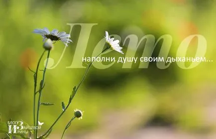 poezii frumoase despre vara, blog-Iriny Zaytsevoy
