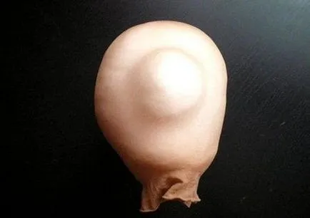 Papusi din nailon cu mâinile dvs. pas cu clasa expert pas cu fotografii și lecții video pentru începători (nylon) Păpuși din nailon cu mâinile pas cu clasa expert pas cu fotografii și tutoriale video pentru începători