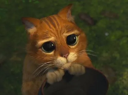 Când și cine face de multe ori e milă de tine