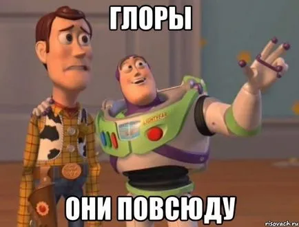 Cine sunt Gloria