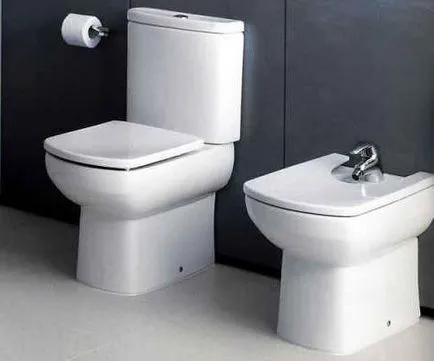 WC capac de ridicare cu selecție, instalare, reparare
