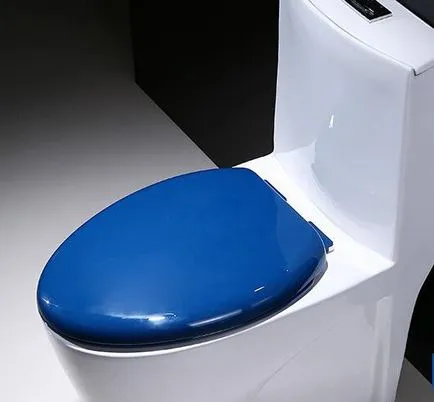 WC capac de ridicare cu selecție, instalare, reparare
