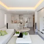 bucătărie-cameră de zi 50 de fotografii idei modul de a decora design (foto) bucătărie-cameră de zi 50 de fotografii idei modul de a decora design-