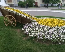 Amenajare a teritoriului în oraș