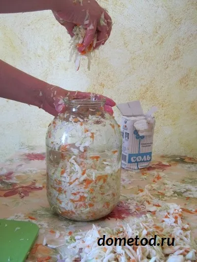 Sauerkraut la domiciliu, în drum spre casă (varză acră) Sauerkraut la domiciliu, în drum spre casă