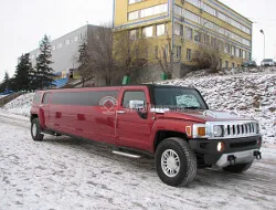 Limousine pentru o nunta, (8452) 915-715