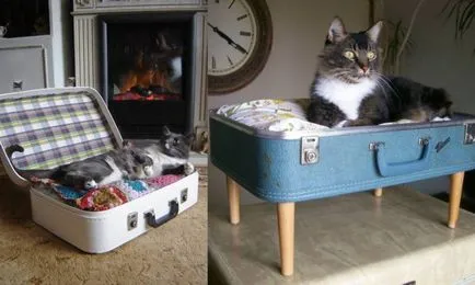 Paturi pentru pisici, cu ateliere de mâinile lor (cat banc ar trebui) Paturi pentru pisici cu atelierele lor mâini