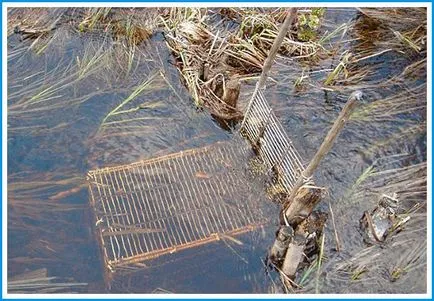 capcane de pește cu mâinile lor - cum să facă o sticla, capcane cu ecran plat, reale (cum să facă o capcană pentru pești cu mâinile lor) capcane de pește cu mâinile lor - cum să facă o sticlă, capcane cu ecran plat, recenzii