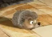 Mașa și ursul - toate personaje de desene animate, pe scurt toate Mașa și Ursul (ceas on-line Mașa și Ursul) Mașa și ursul - toate personaje de desene animate, pe scurt toate Mașa și ursul