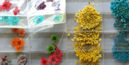 Manichiura cu flori uscate pentru unghii naturale si artificiale