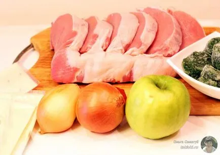 Sosul de porc moale - Rețete cu fotografii (shish kebab) Sosul de porc moale - Retete cu fotografii