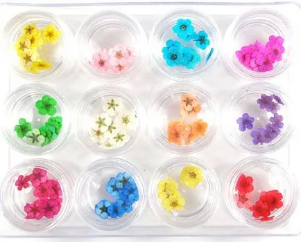Manichiura cu flori uscate pentru unghii naturale si artificiale
