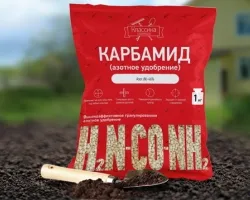 Sulfat de cupru pentru tratarea apei din piscina ca add