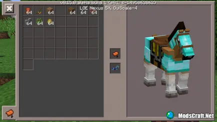 Minecraft pe ghid plin pe cal