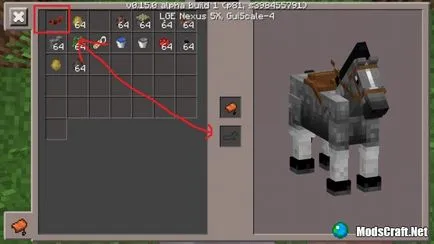 Minecraft pe ghid plin pe cal