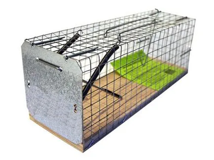 Mousetrap cu mâinile cum să facă improvizat (cu mâinile) Mousetrap cu mâinile cum să facă improvizat