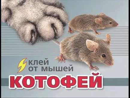 Mousetrap cu mâinile cum să facă improvizată (de la) Mousetrap cu mâinile cum să facă improvizat