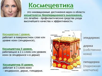 Clasificarea internațională a cosmetice „articol - TB (produse cosmetice care) Clasificarea internațională a produselor cosmetice „articol - TB