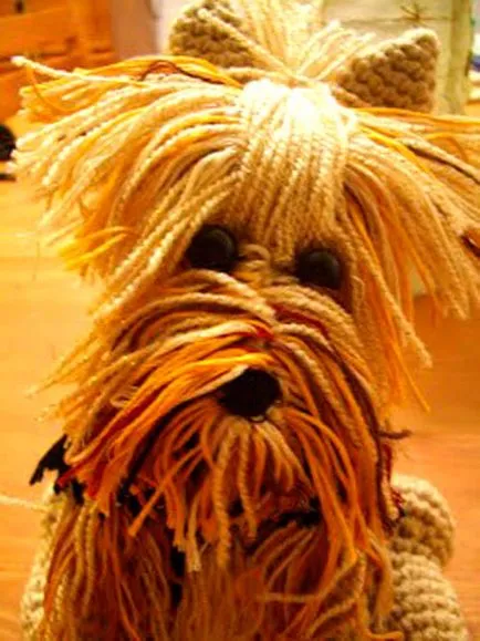 U Yorkshire terrier cârlig