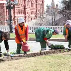 București, știri, o zonă pietonală din stradă în loc de Ladoga Tsao (zona) București, știri, o zonă pietonală din stradă în loc de Ladoga Tsao