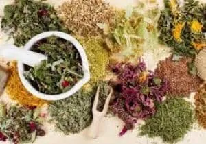 Tratamentul Oamenii de fibrom uterin modul de a alege mijloacele potrivite (uter) Tratamentul Oamenii de fibrom uterin modul de a alege instrumentele potrivite