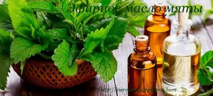 Menta pentru cresterea parului si frumusete