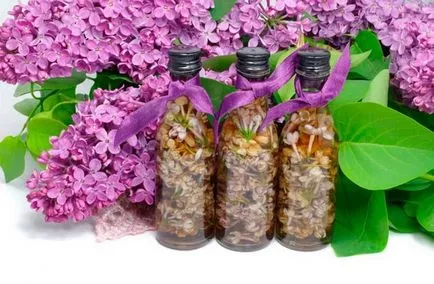 Tinctura de reteta Liliacului pentru tratamentul utilizării în comun de liliac, o călătorie în lumea naturii (proprietăți medicinale de liliac pentru a articulațiilor) Tinctura de reteta Liliacului pentru tratamentul utilizării în comun de liliac, o călătorie în lumea naturii