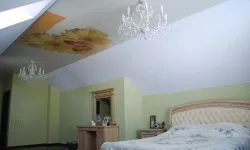Plafoane întinse cu imprimare foto (100 interesante de design fotografie)