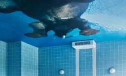 Plafoane întinse cu imprimare foto (100 interesante de design fotografie)