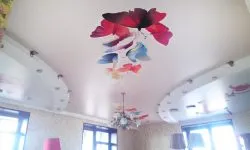 Plafoane întinse cu imprimare foto (100 interesante de design fotografie)