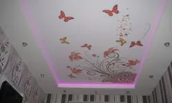 Plafoane întinse cu imprimare foto (100 interesante de design fotografie)
