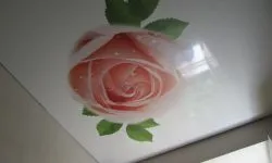Plafoane întinse cu imprimare foto (100 interesante de design fotografie)