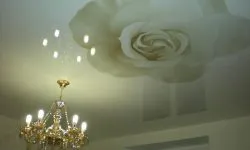 Plafoane întinse cu imprimare foto (100 interesante de design fotografie)