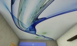 Plafoane întinse cu imprimare foto (100 interesante de design fotografie)