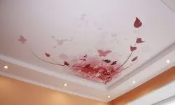 Plafoane întinse cu imprimare foto (100 interesante de design fotografie)