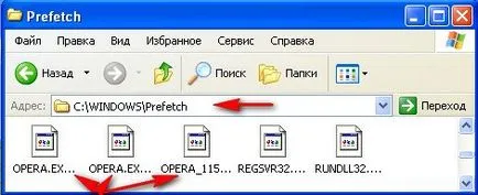 Opera nu se deschide - site-ul notebookremont!