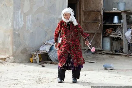 Neindulcit uzbeci trăiesc (32 poze)