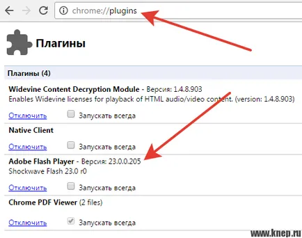 Flash Player nu de lucru