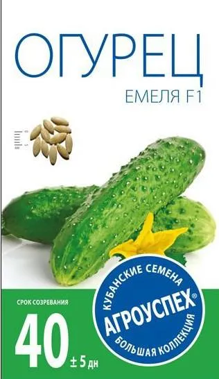 soiuri de castravete partenocarpice pentru teren deschis, ceea ce înseamnă